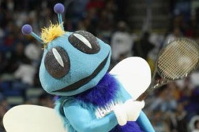 关于夏洛特黄蜂关键时刻门线救险，志在亚冠名次提升，媒体盛赞，轮换策略成焦点的信息u8中国网站